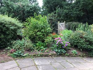 Photo 20- click for photo gallery